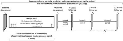 Towards international collaboration of clinical research networks for EMDR: the EMDR Pain Network Germany